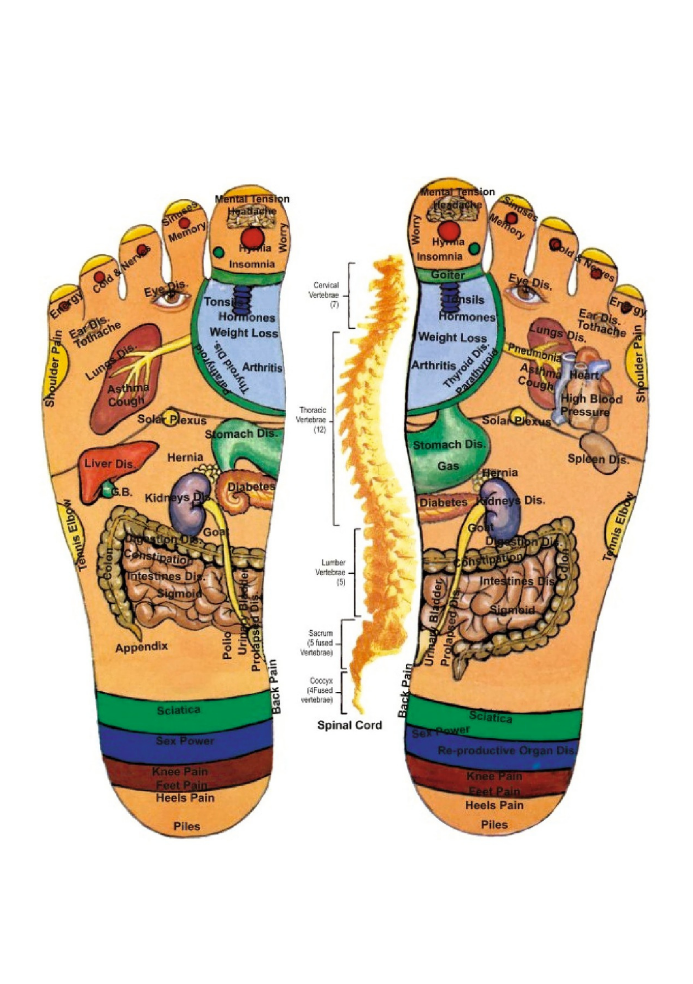 Foot Reflexology